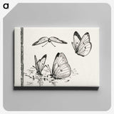 1-35_Moths-and-Butterflies-of-the-United-States_canvas