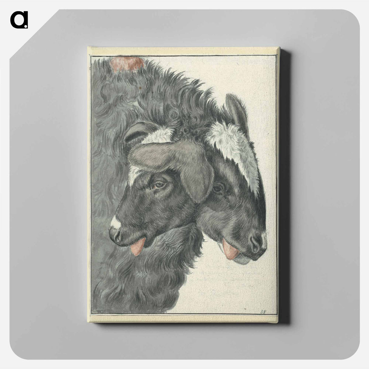 アートパネル-Bicephalic Sheep
 - 国立医学図書館 Canvas.