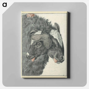 アートパネル-Bicephalic Sheep
 - 国立医学図書館 Canvas.