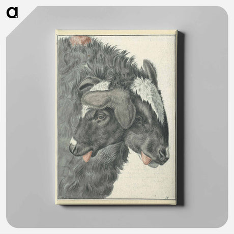 アートパネル-Bicephalic Sheep
 - 国立医学図書館 Canvas.