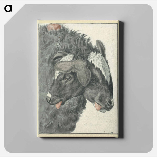 アートパネル-Bicephalic Sheep
 - 国立医学図書館 Canvas.