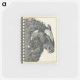 アートメモ帳-Bicephalic Sheep
 - 国立医学図書館 Memo.