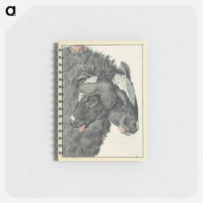 アートメモ帳-Bicephalic Sheep
 - 国立医学図書館 Memo.