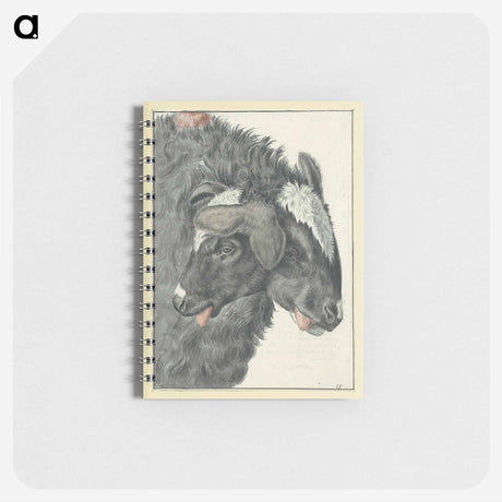 アートメモ帳-Bicephalic Sheep
 - 国立医学図書館 Memo.