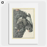 アートポスター-Bicephalic Sheep
 - 国立医学図書館 Poster.