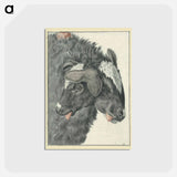アートポストカード-Bicephalic Sheep
 - 国立医学図書館 Postcard.