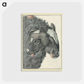 アートポストカード-Bicephalic Sheep
 - 国立医学図書館 Postcard.