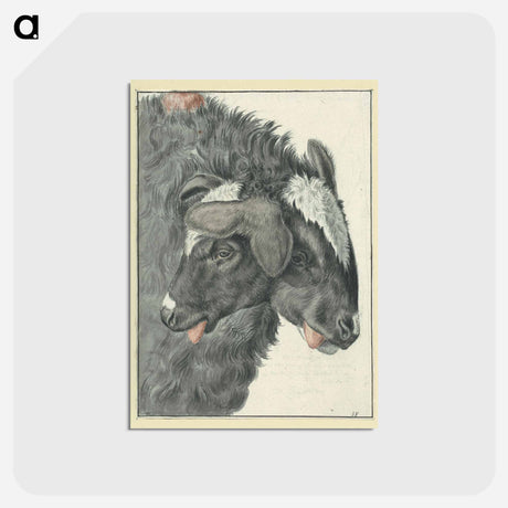 アートポストカード-Bicephalic Sheep
 - 国立医学図書館 Postcard.