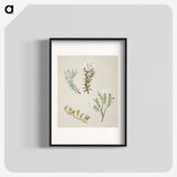 1-35_Native-Flowering-Plants-of-New-Zealand_blk