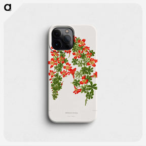 1-35_Nederlandsche-Flora-en-Pomona_phone