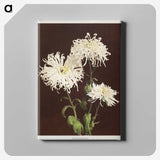 1-35_Ogawa-Kazumasa_canvas
