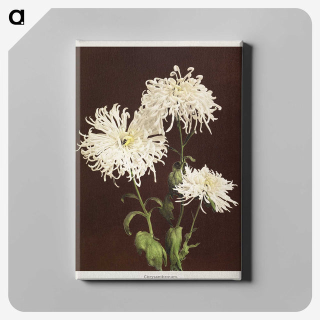 1-35_Ogawa-Kazumasa_canvas