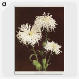 1-35_Ogawa-Kazumasa_picture-crop