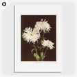 1-35_Ogawa-Kazumasa_picture