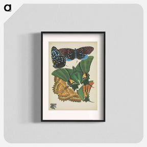 アートポスター-Vintage Butterflies
 - パピヨン Poster.