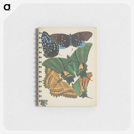 アートメモ帳-Vintage Butterflies
 - パピヨン Memo.