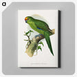 1-35_Parrots-in-Captivity_canvas