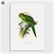 1-35_Parrots-in-Captivity_picture