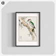アートポスター-Japanese Green Woodpecker Illustration
 - 鳥類図鑑 Poster.