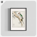 アートポスター-Japanese Green Woodpecker Illustration
 - 鳥類図鑑 Poster.