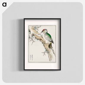 アートポスター-Japanese Green Woodpecker Illustration
 - 鳥類図鑑 Poster.