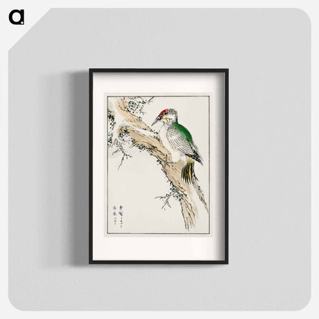 アートポスター-Japanese Green Woodpecker Illustration
 - 鳥類図鑑 Poster.