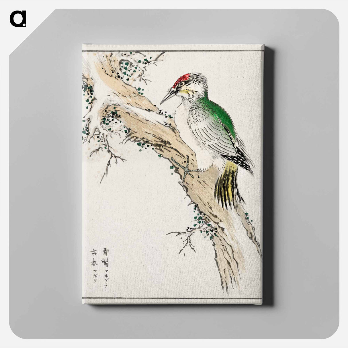 アートパネル-Japanese Green Woodpecker Illustration
 - 鳥類図鑑 Canvas.