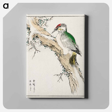 アートパネル-Japanese Green Woodpecker Illustration
 - 鳥類図鑑 Canvas.