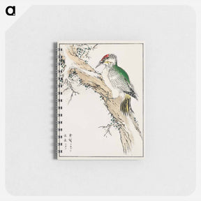 アートメモ帳-Japanese Green Woodpecker Illustration
 - 鳥類図鑑 Memo.