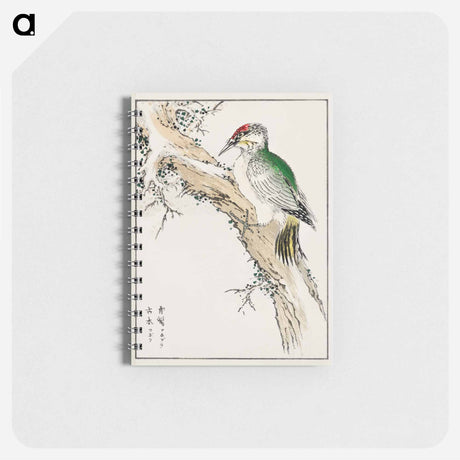 アートメモ帳-Japanese Green Woodpecker Illustration
 - 鳥類図鑑 Memo.