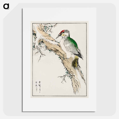 アートポスター-Japanese Green Woodpecker Illustration
 - 鳥類図鑑 Poster.