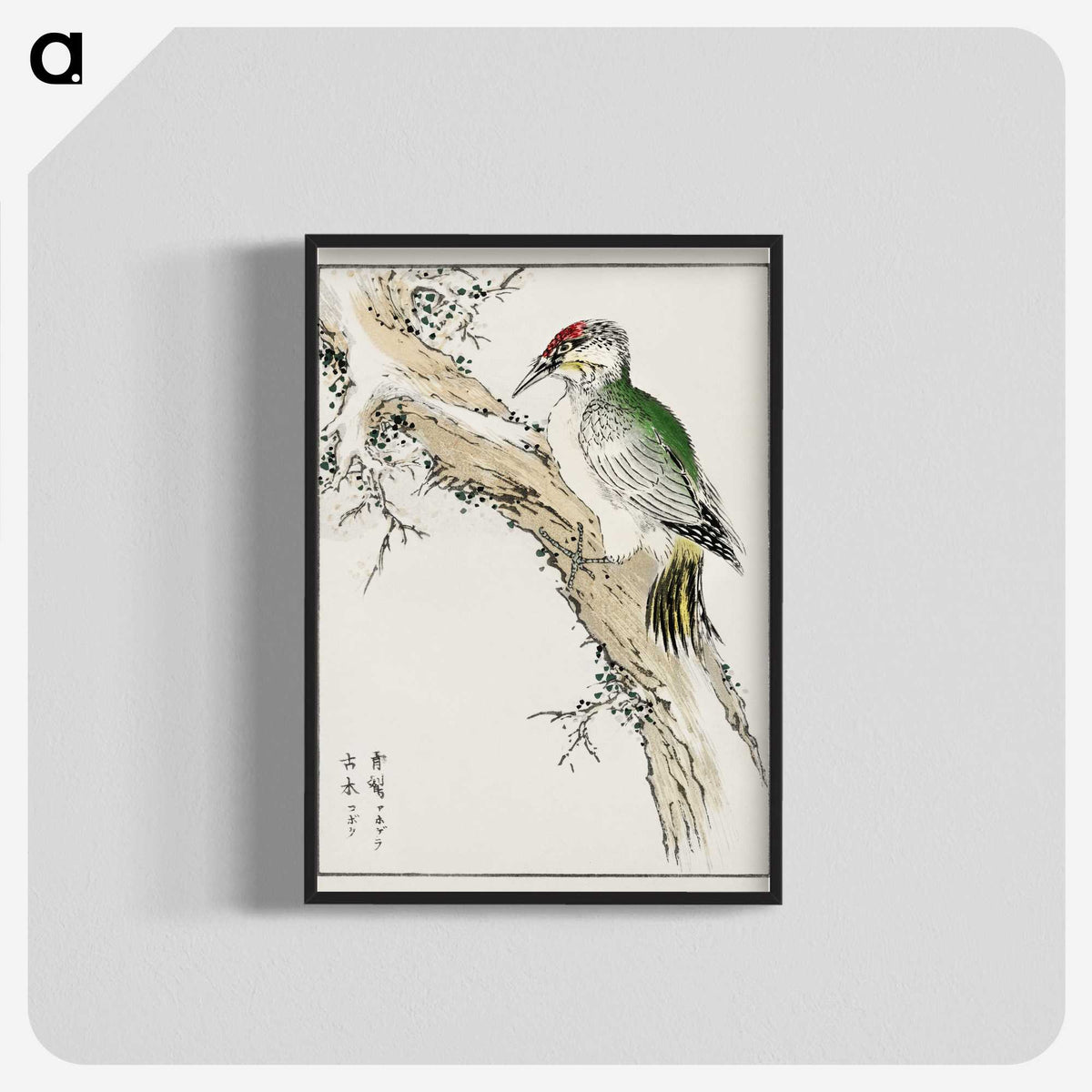 1-35_Pictorial-Monograph-of-Birds_blk-crop