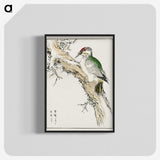 1-35_Pictorial-Monograph-of-Birds_blk-crop