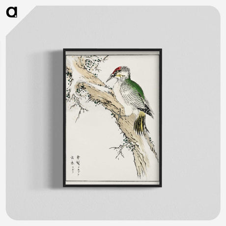 1-35_Pictorial-Monograph-of-Birds_blk-crop