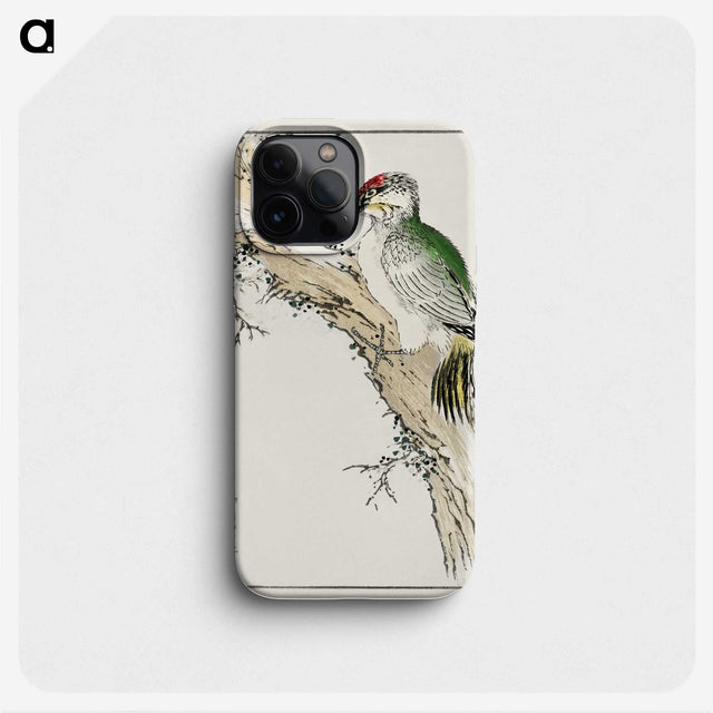 1-35_Pictorial-Monograph-of-Birds_phone