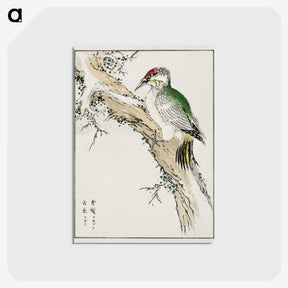 1-35_Pictorial-Monograph-of-Birds_postcard