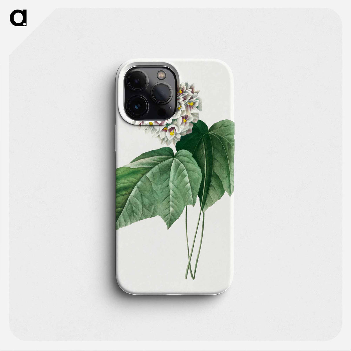 Dombeya Amelia - ピエール ジョゼフ ルドゥーテ Phone Case.
