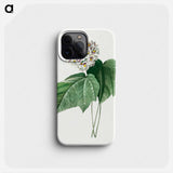 Dombeya Amelia - ピエール ジョゼフ ルドゥーテ Phone Case.