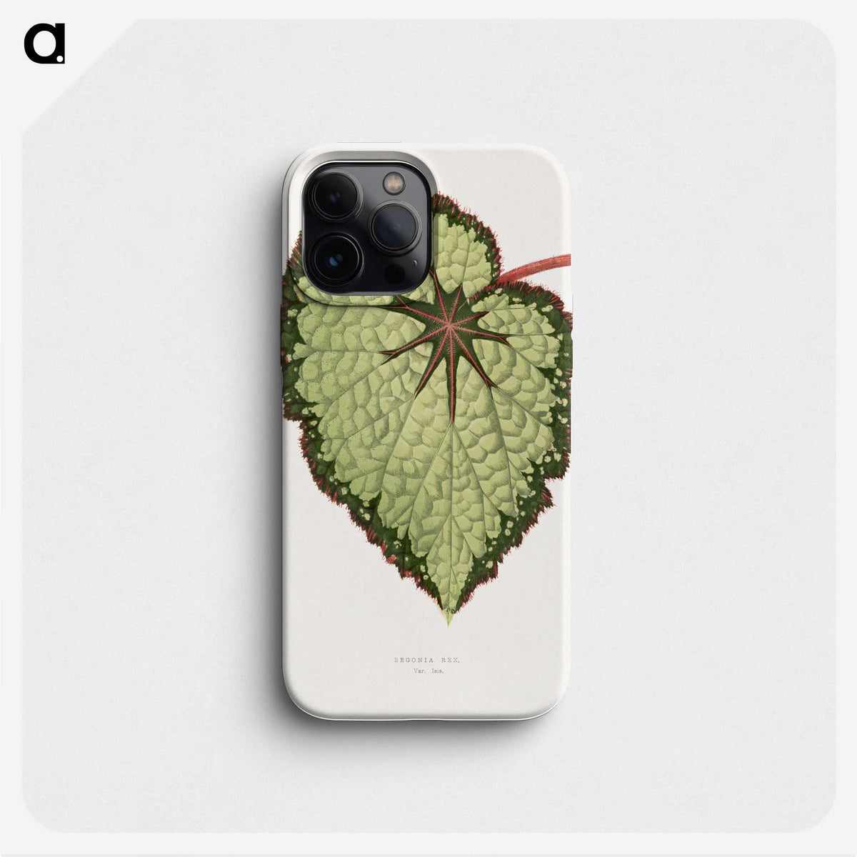 1-35_Plants-with-Colored-Foliage_phone