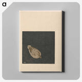 1-35_Reijer-Stolk_canvas