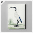 1-35_Robert-Jacob-Gordon_canvas