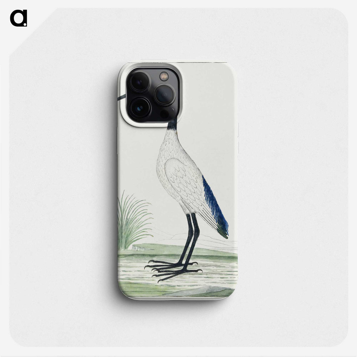 1-35_Robert-Jacob-Gordon_phone