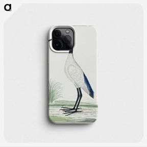 1-35_Robert-Jacob-Gordon_phone