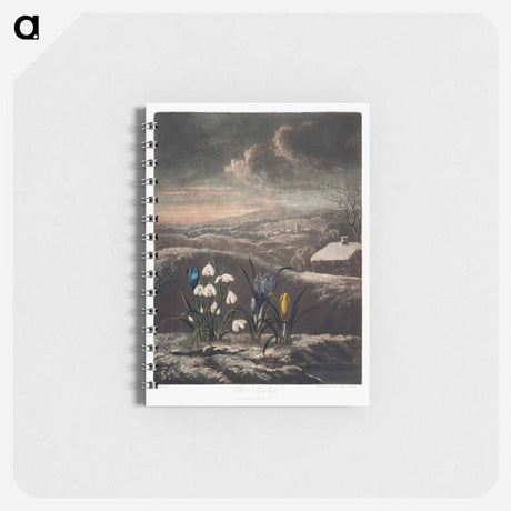 アートメモ帳-The Snowdrops from The Temple of Flora
 - ロバート ジョン ソーントン Memo.