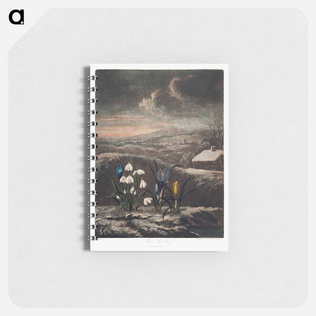 アートメモ帳-The Snowdrops from The Temple of Flora
 - ロバート ジョン ソーントン Memo.