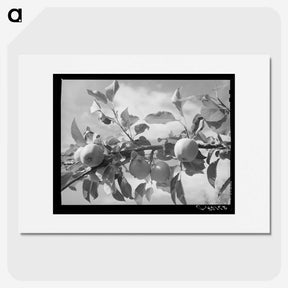 1-35_Russell-Lee_picture