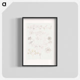 Oxalis, Zinnia, and Potato Blossom - Samuel Coleman Poster.
