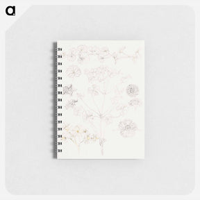 アートメモ帳-Oxalis, Zinnia, and Potato Blossom - サミュエル コールマン Memo.