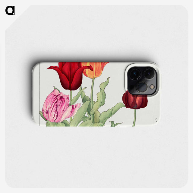 1-35_Seiyo-Soka-Zufu_phone