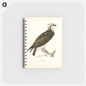 アートメモ帳-Osprey
 - スヴェンスカ フォグラル Memo.